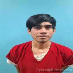 Mugshot of ELVIS ENRIQUE GARCIA-GIRON
