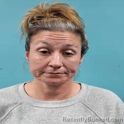 Mugshot of CHRISTY RENEE COLLINS
