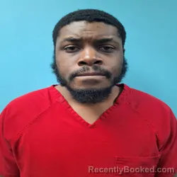 Mugshot of TERRELL DIVER MCNABB