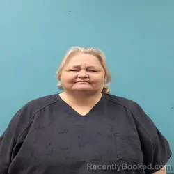 Mugshot of REBECCA DIANE BOLES