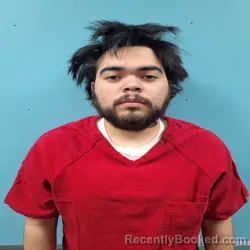 Mugshot of LOGAN ANGEL LARA booked in Roane County, Tennessee on April 25, 2026