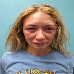 Mugshot of GABRIELLE ANN JOLEEN MCELVEEN