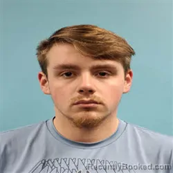 Booking photo from Roane County, Tennessee