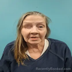 Mugshot of REBECCA DARLENE BRUMMETT booked in Roane County, Tennessee on March 6, 2026