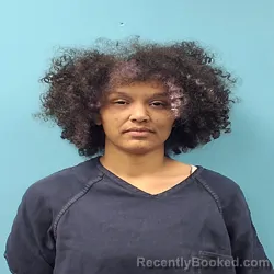 Mugshot of JERRIAH LA'AMERIE DIXON booked in Roane County, Tennessee on March 7, 2026