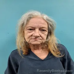 Mugshot of VIVIAN KAY SCHWARTZ booked in Roane County, Tennessee on March 18, 2026