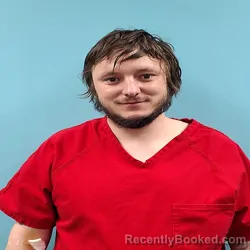 Mugshot of VINCENT ESTON ELLIS booked in Roane County, Tennessee on March 19, 2026