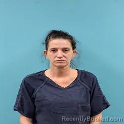 Mugshot of TRACY L STEELE booked in Roane County, Tennessee on March 21, 2026