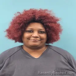 Mugshot of LAKECHIA LARESSE CLEMONS booked in Roane County, Tennessee on April 1, 2026