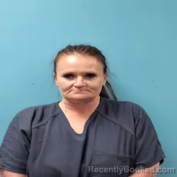 Mugshot of JAMIE LEIGH GIBSON booked in Roane County, Tennessee on April 5, 2026