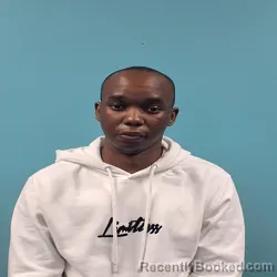 Mugshot of WILKINS TANATSWA CHINOMBE booked in Roane County, Tennessee on April 26, 2026