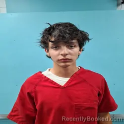 Mugshot of ALEXANDER CAIN BOWMAN booked in Roane County, Tennessee on May 2, 2026