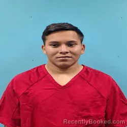 Mugshot of ERISON MATAMOROS SOLORZANO FAUSTINO booked in Roane County, Tennessee on June 4, 2026