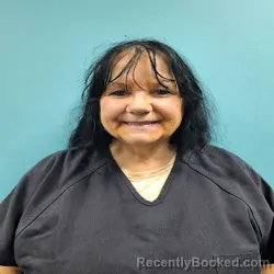 Mugshot of GAIL LOUISE JOHNSON booked in Roane County, Tennessee on June 9, 2026
