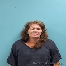 Mugshot of TERI JO ROBINSON booked in Roane County, Tennessee on June 16, 2026