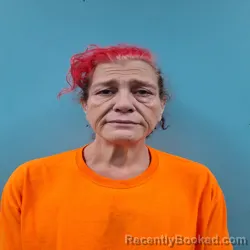 Mugshot of RHONDA SUE CARROLL booked in Roane County, Tennessee on June 17, 2026