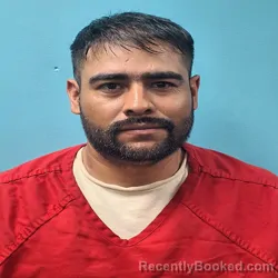 Mugshot of ALEJANDRO GUDINO GONZALEZ booked in Roane County, Tennessee on June 27, 2026