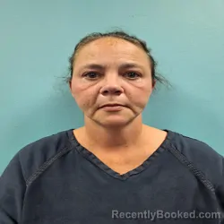 Mugshot of DESTINY LEANN ISHAM booked in Roane County, Tennessee on August 4, 2026