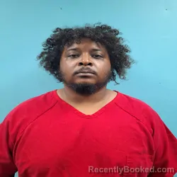 Mugshot of Tikael Malique Hannibal booked in Roane County, Tennessee on August 5, 2026