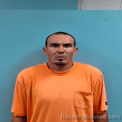 Mugshot of David Charles Gibson booked in Roane County, Tennessee on August 19, 2026