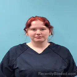 Mugshot of Brooklyn Kaylee Mcanally booked in Roane County, Tennessee on September 22, 2026