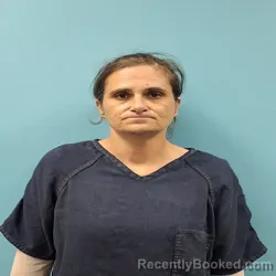 Mugshot of Pamela Ann Smith booked in Roane County, Tennessee on October 2, 2026