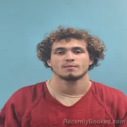 Mugshot of Dalton Eli Phillips booked in Roane County, Tennessee on October 3, 2026