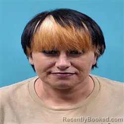Mugshot of Sherry Renee Barnes booked in Roane County, Tennessee on August 24, 2026