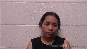 Mugshot of Juana Alonzo Gomez booked in Robertson County, Tennessee on June 28, 2026