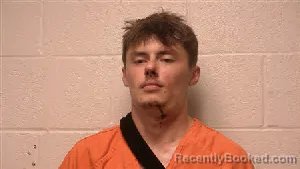 Mugshot of Maxiamus Lee Anderson booked in Robertson County, Tennessee on June 28, 2026