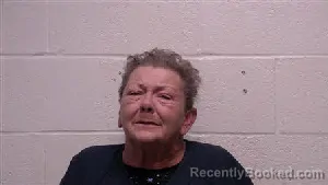 Mugshot of Penny Tenise Appleby booked in Robertson County, Tennessee on April 30, 2026