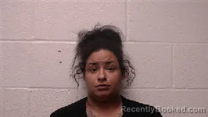 Mugshot of Elena Lucille Bozza booked in Robertson County, Tennessee on August 11, 2026