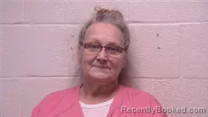 Mugshot of Lisa Ann Bain booked in Robertson County, Tennessee on April 29, 2026