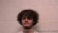 Mugshot of Landon Wade Boggs