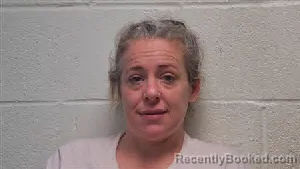 Mugshot of Ashley Ann Chambers booked in Robertson County, Tennessee on June 4, 2026