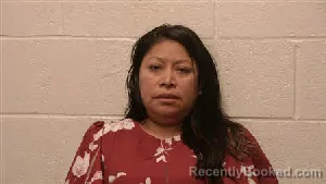 Mugshot of Berta Ciprian Primero booked in Robertson County, Tennessee on June 6, 2026