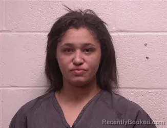 Mugshot of Erica Shantel Casey booked in Robertson County, Tennessee on September 25, 2026