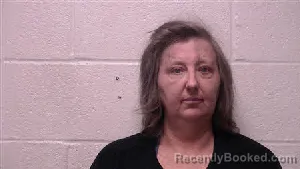Mugshot of Kimberly Suzann Capley booked in Robertson County, Tennessee on April 15, 2026