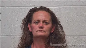 Mugshot of Kimberly Faye Clinard booked in Robertson County, Tennessee on July 30, 2026