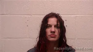 Mugshot of Terry Jo Cochran booked in Robertson County, Tennessee on May 8, 2026