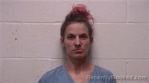 Mugshot of Terry Jo Cochran booked in Robertson County, Tennessee on July 25, 2026