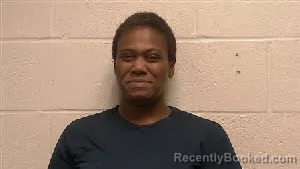 Mugshot of Felicia Faye Dowlen booked in Robertson County, Tennessee on June 8, 2026