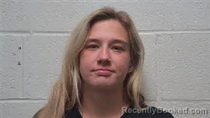Mugshot of Morgan Ruth Dorris booked in Robertson County, Tennessee on June 6, 2026