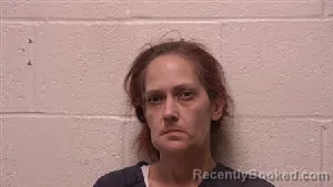 Mugshot of Stacy Laverne Dyce booked in Robertson County, Tennessee on April 17, 2026