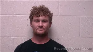 Mugshot of William Bradley Davis booked in Robertson County, Tennessee on August 12, 2026
