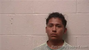 Mugshot of Alexis Aimar Escalante Gonzalez booked in Robertson County, Tennessee on June 14, 2026