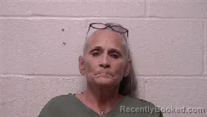 Mugshot of Darla Denise Ellis booked in Robertson County, Tennessee on August 10, 2026