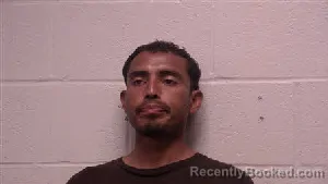 Mugshot of German Alexander Elvir-Martinez booked in Robertson County, Tennessee on August 8, 2026