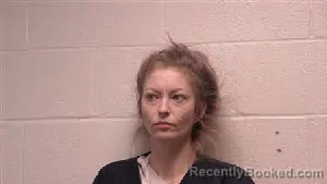 Mugshot of Hannah Marie Foster booked in Robertson County, Tennessee on May 15, 2026