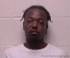 Mugshot of James Lamont Flemmings booked in Robertson County, Tennessee on August 15, 2026